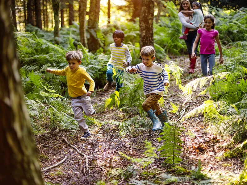 Подготовка к походу в лес или на природу
🌲 Идем в лес: что взять с собой?

Уважаемые родители! Июль
