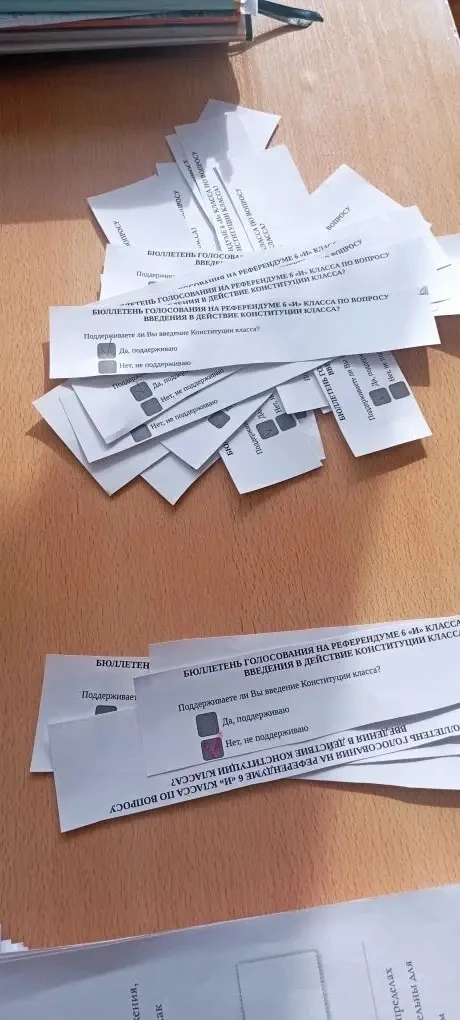 Конституция теперь есть и в 6 «И» Классе. В рамках уроков Профориентации к ребятам на урок приходят 