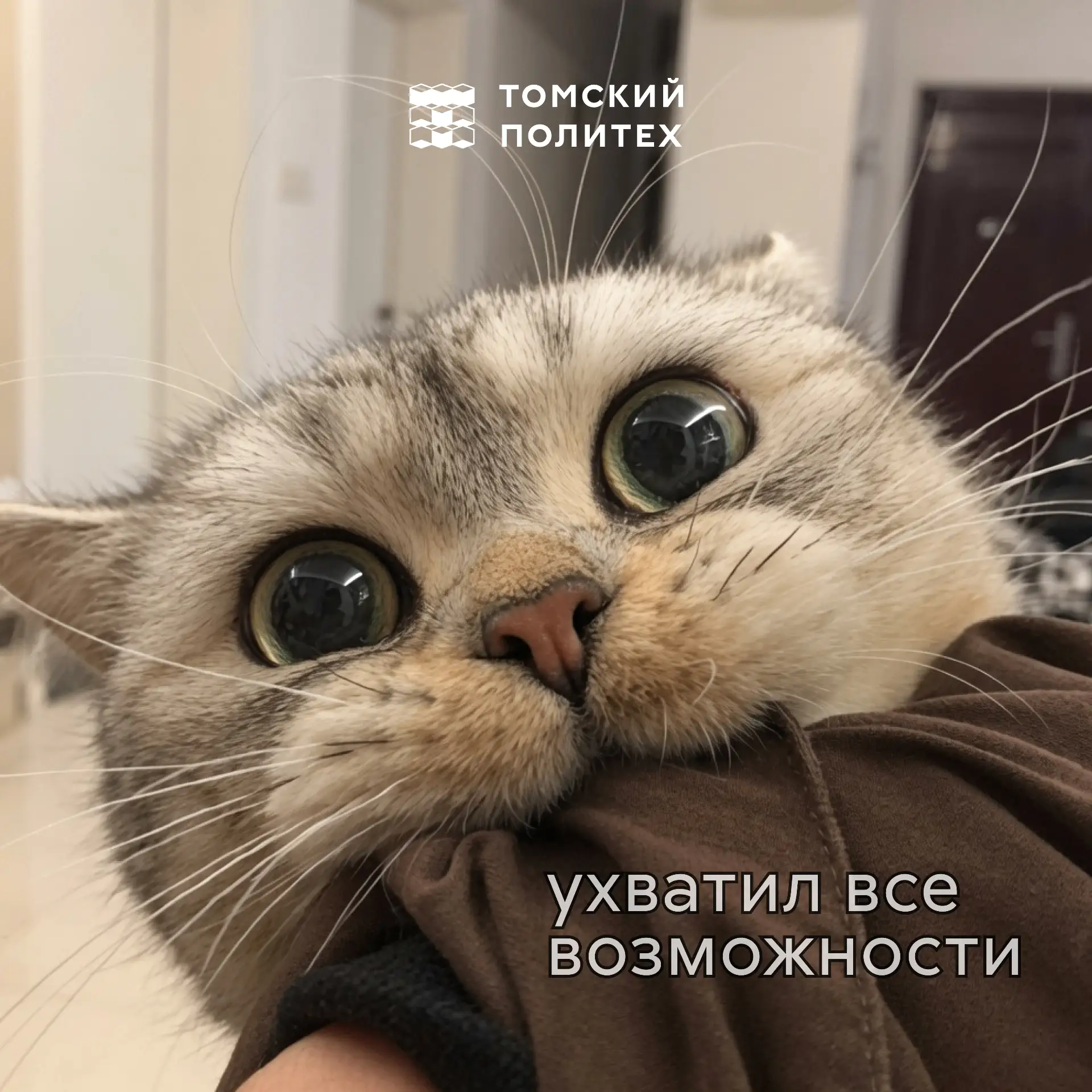 Что это? Это дайджест возможностей!

Смотрите и разбирайте конкурсы, открывайте горизонты и получайт