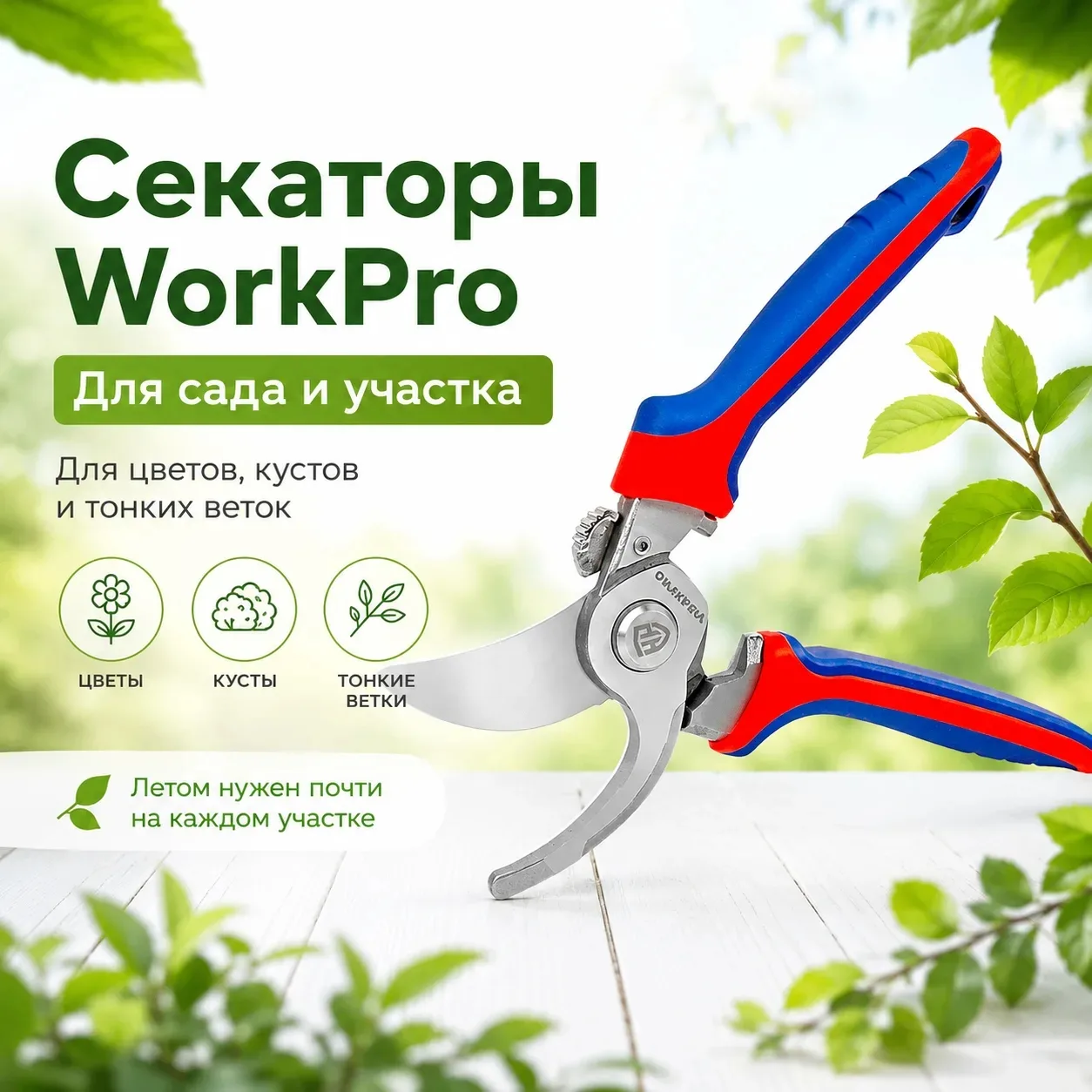 ✂ Секатор — один из самых нужных летних инструментов.

Он пригодится на даче, в саду, возле дома и н