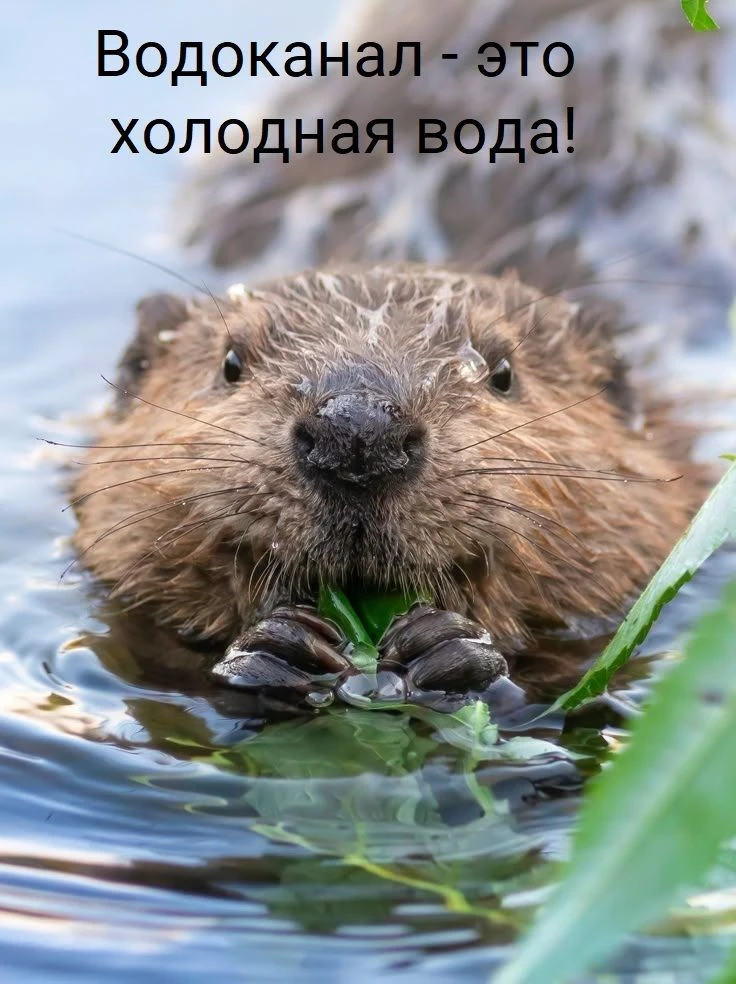 С вопросами по горячему водоснабжению обращайтесь в свою управляющую компанию или теплосбытовую орга