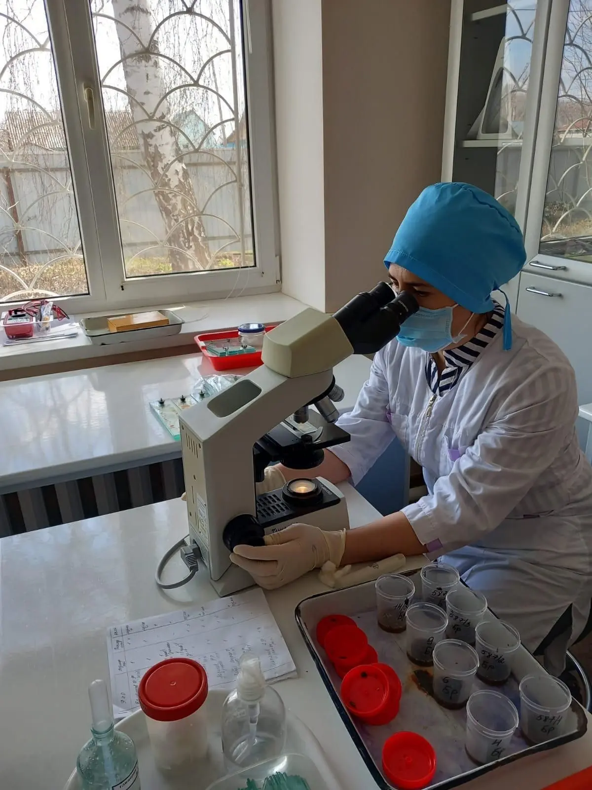 🐝 Весной приходит сезон обследования пасек, пчеловоды активно начинают готовиться к но...