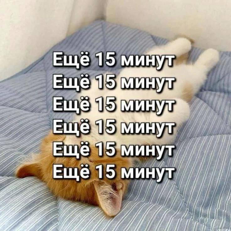 Утречка, коллеги!