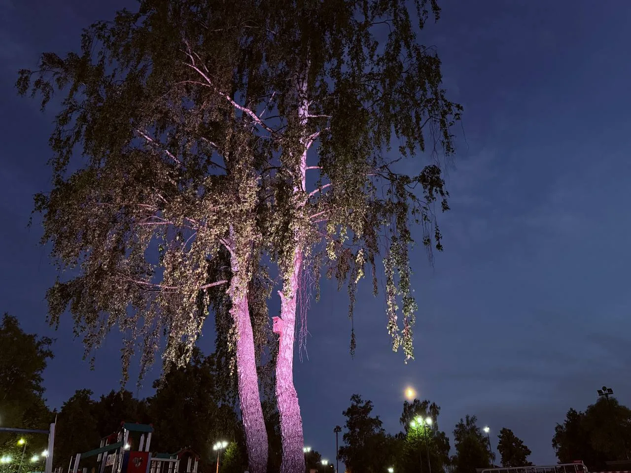 Поздний вечер в парке «Покровский»✨️🌳🌃

#Хотьково #ПрогулкаПоПарку #Лето