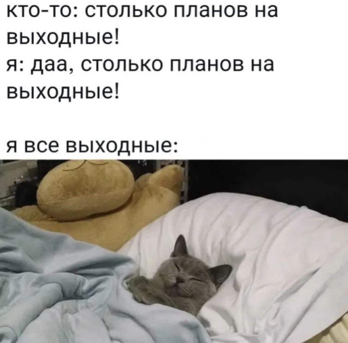 Хороших выходных, друзья 😁
