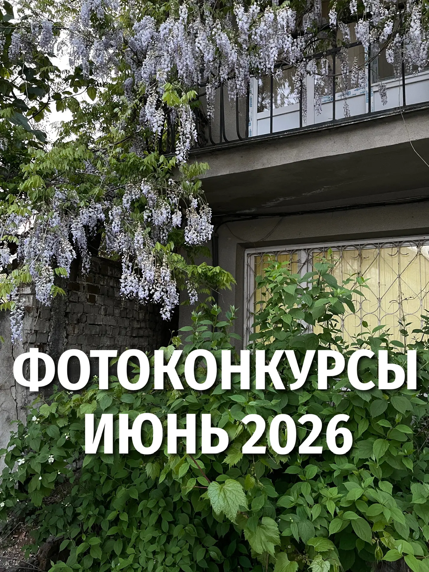 👇Фотоконкурсы / выставки / гранты июня 2026 года👇