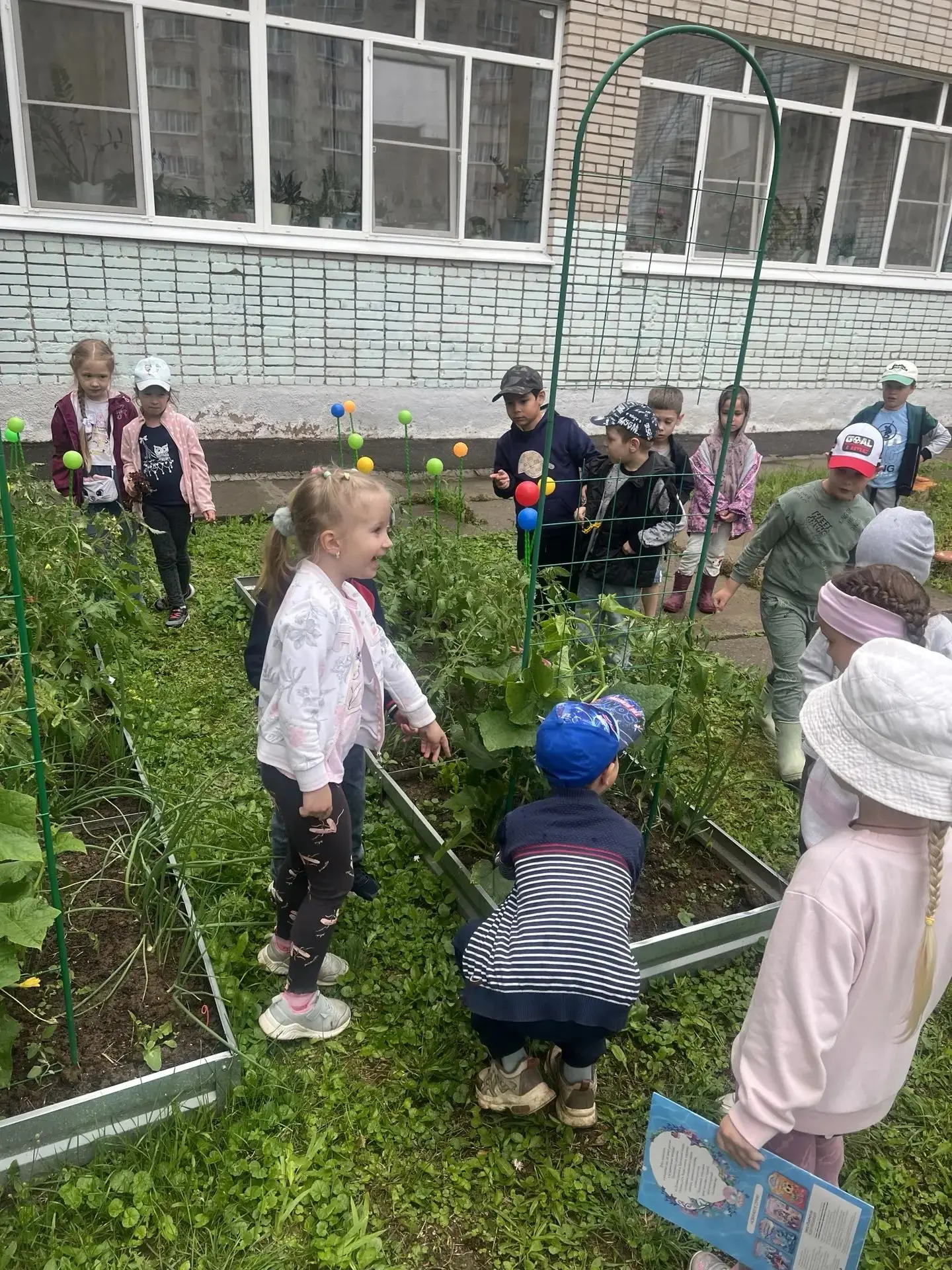 Летний исследовательский проект 
"Огород "🥒🥒🥒🍅🍅🍅 набирает обороты. Сегодня дети пришли посмотр