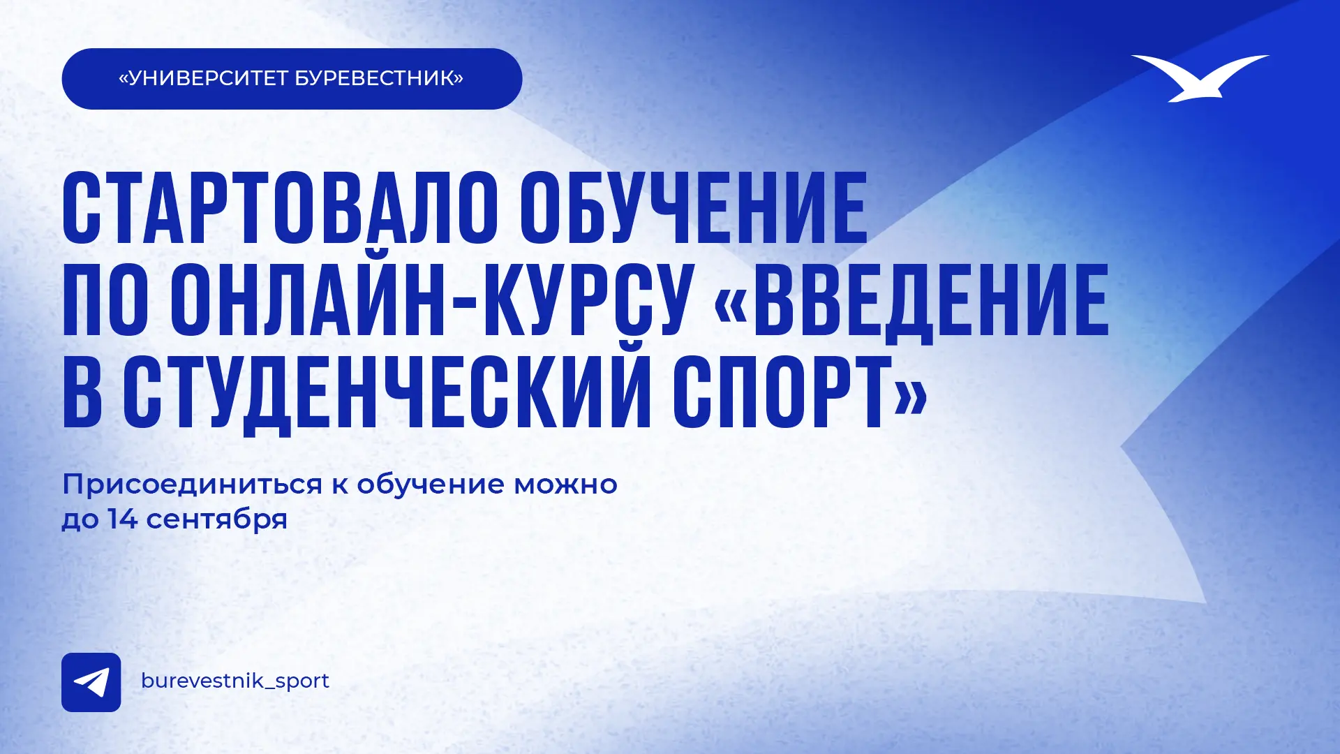Разобраться как устроен студенческий спорт — за 6 шагов!