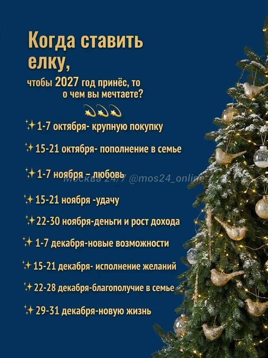 🎄 Ёлку нужно поставить уже в октябре, — сообщили нумерологи