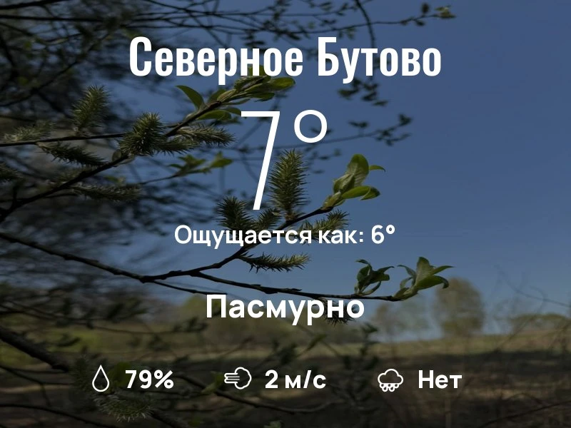 Что с погодой в Северном Бутово?