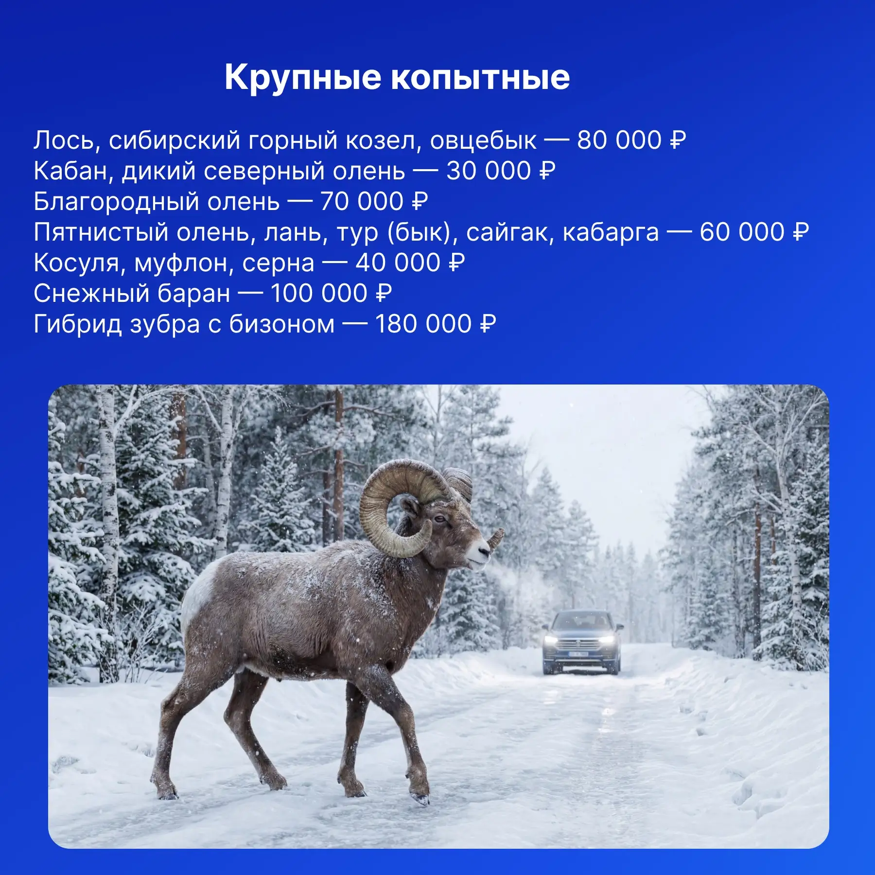 Даже аккуратный водитель может попасть в неприятную ситуацию на дороге.   Мы уже делились случаями п