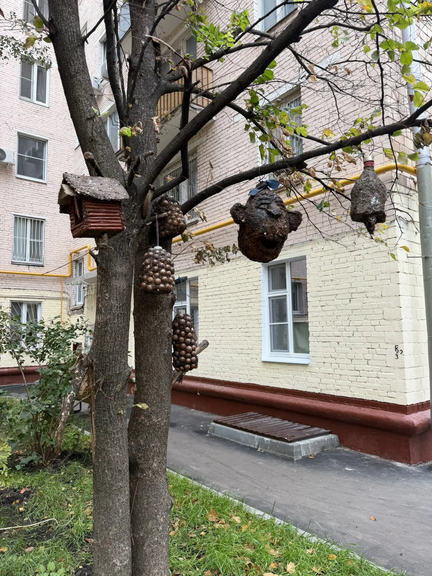 Что за модные кормушки 🗿