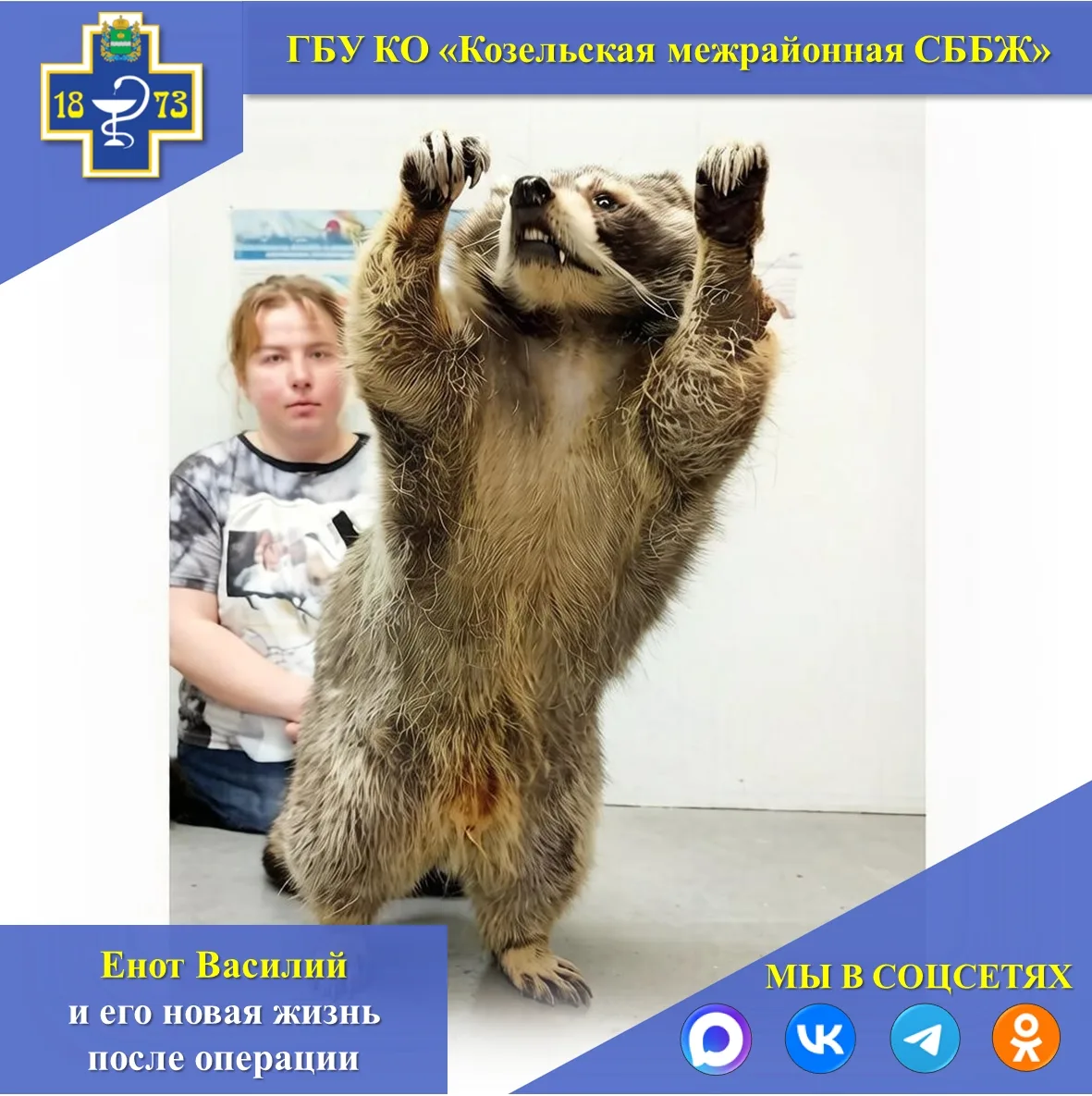 🦝ЕНОТ ВАСИЛИЙ И ЕГО НОВАЯ ЖИЗНЬ ПОСЛЕ ОПЕРАЦИИ.

Привет, друзья! Сегодня у нас для вас история с хэ