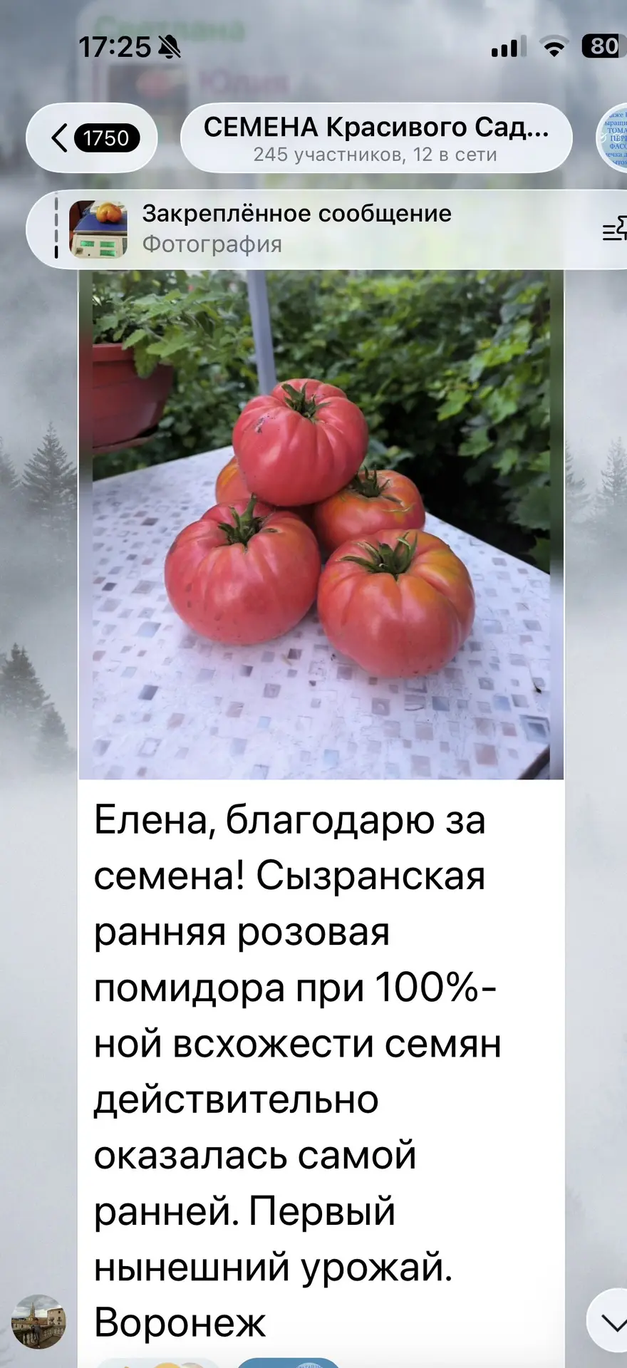 Медиа публикации