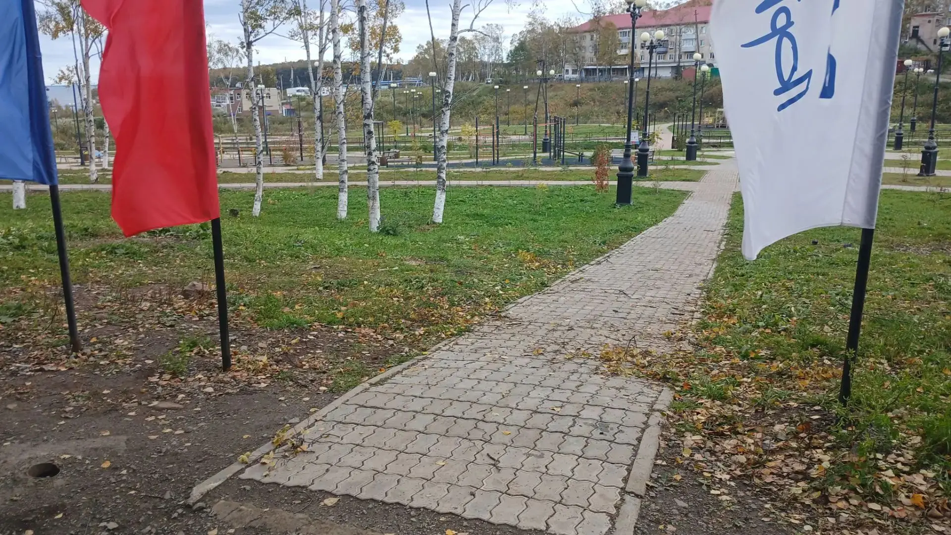 Убрали повреждённые деревья у парка «Пэйке»