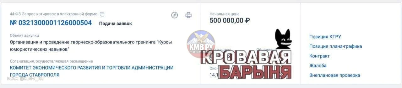 Администрация Ставрополя планирует за 500 тысяч рублей научить молодёжь правильно шутит...