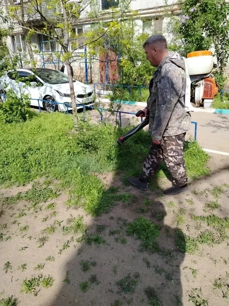 К новости «🛡️ Двойной эффект: порядок и чистота во дворе!»