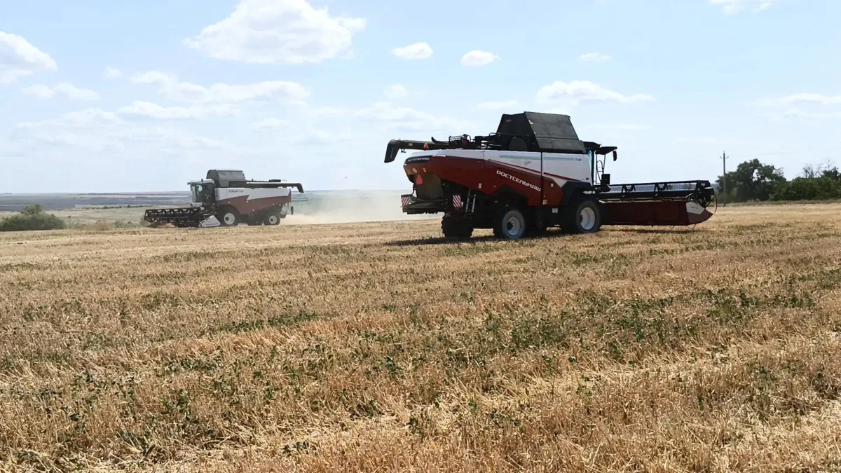 🌾 Сводка с полей