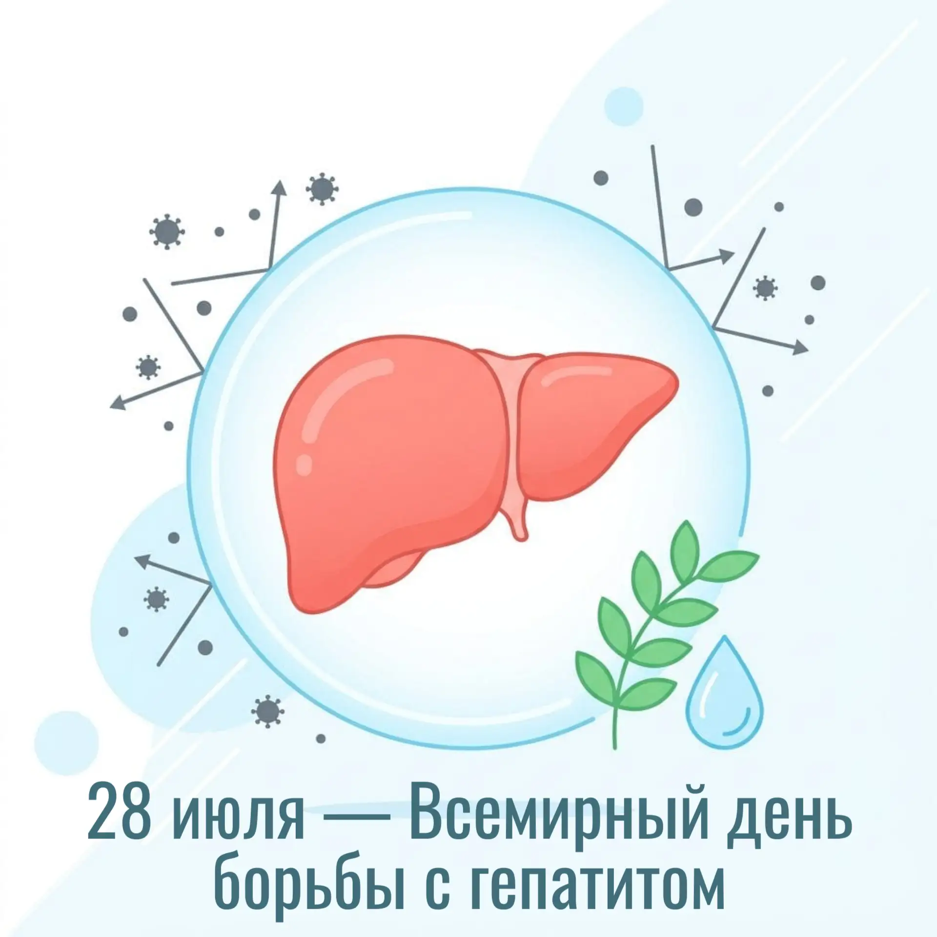 28 июля — Всемирный день борьбы с гепатитом

Печень — это главный фильтр нашего организма, который е