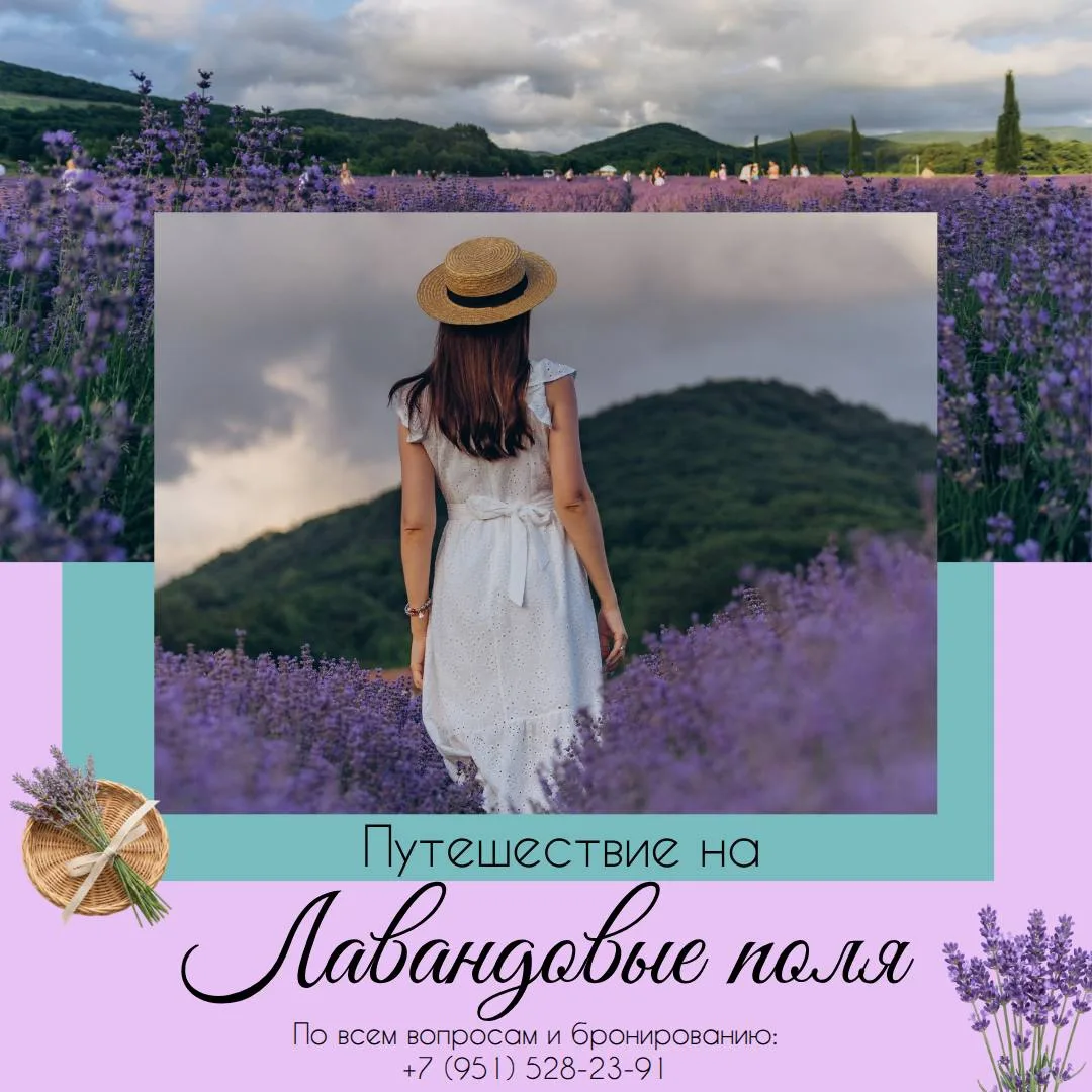 🥹💜Погрузитесь в море фиолетовых оттенков — приглашаем вас в тур на лавандовое поле!