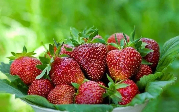 🍓 Готовим клубнику к зиме: 5 шагов к богатому урожаю 2027 года