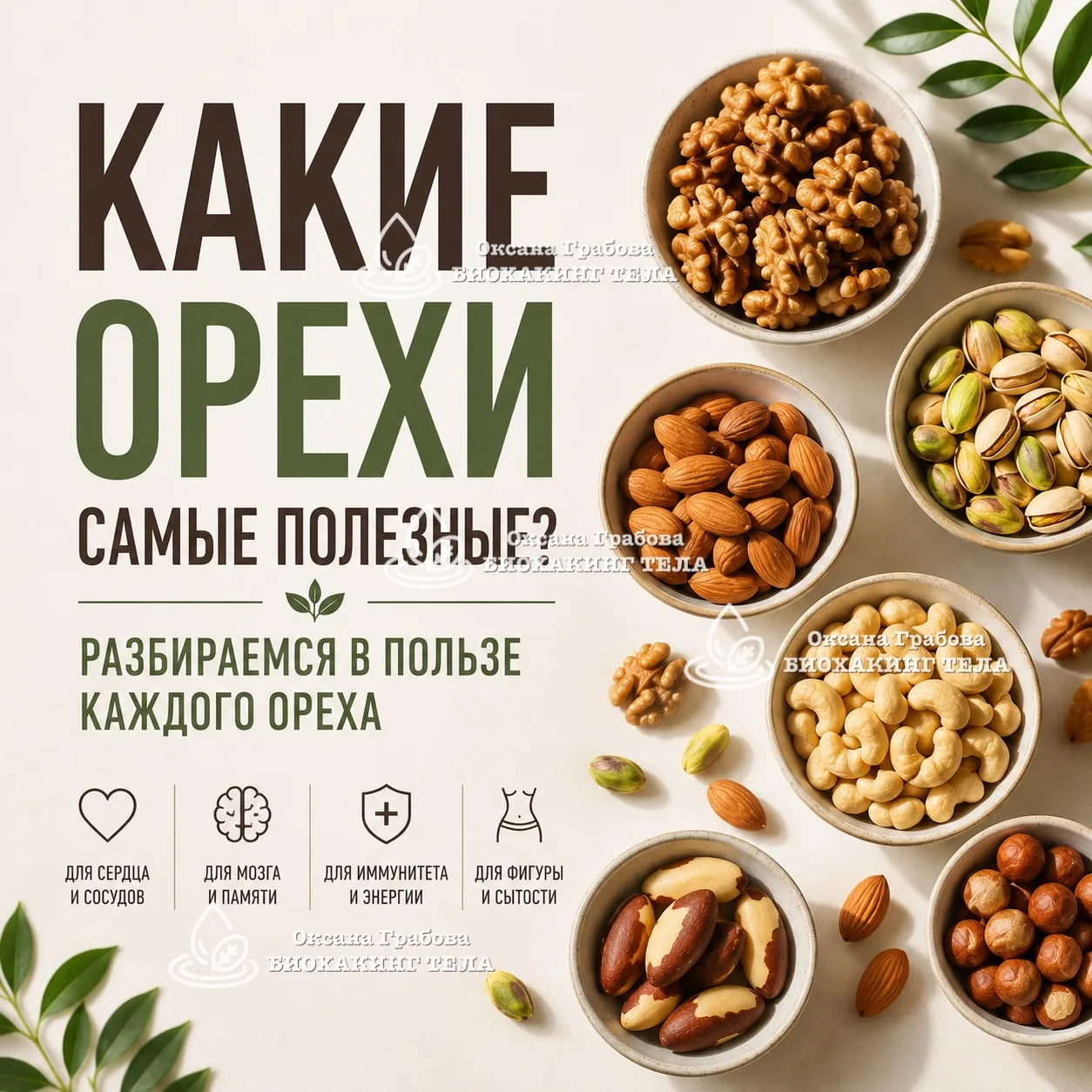 🥜 Какие орехи самые полезные?

🟤 Грецкие орехи
Чем интересны:
✔️ содержат омега-3 жирные кислоты
✔