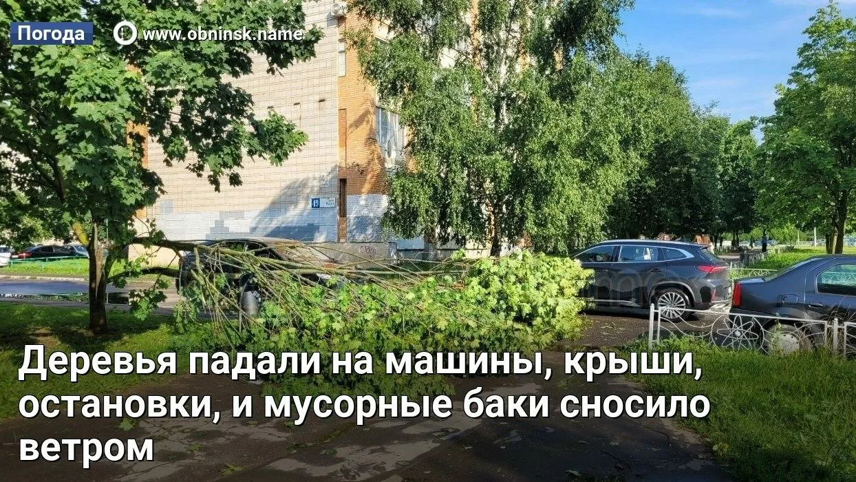 Деревья падали на машины, крыши, остановки, и мусорные баки сносило ветром

Пока Европа жарится на с