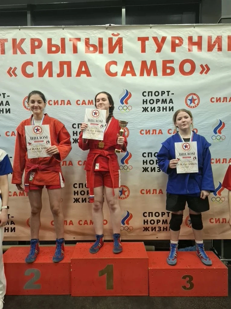 15 февраля прошел спортивный праздник — открытый фестиваль боевых искусств "Сила самбо"!   На турнир