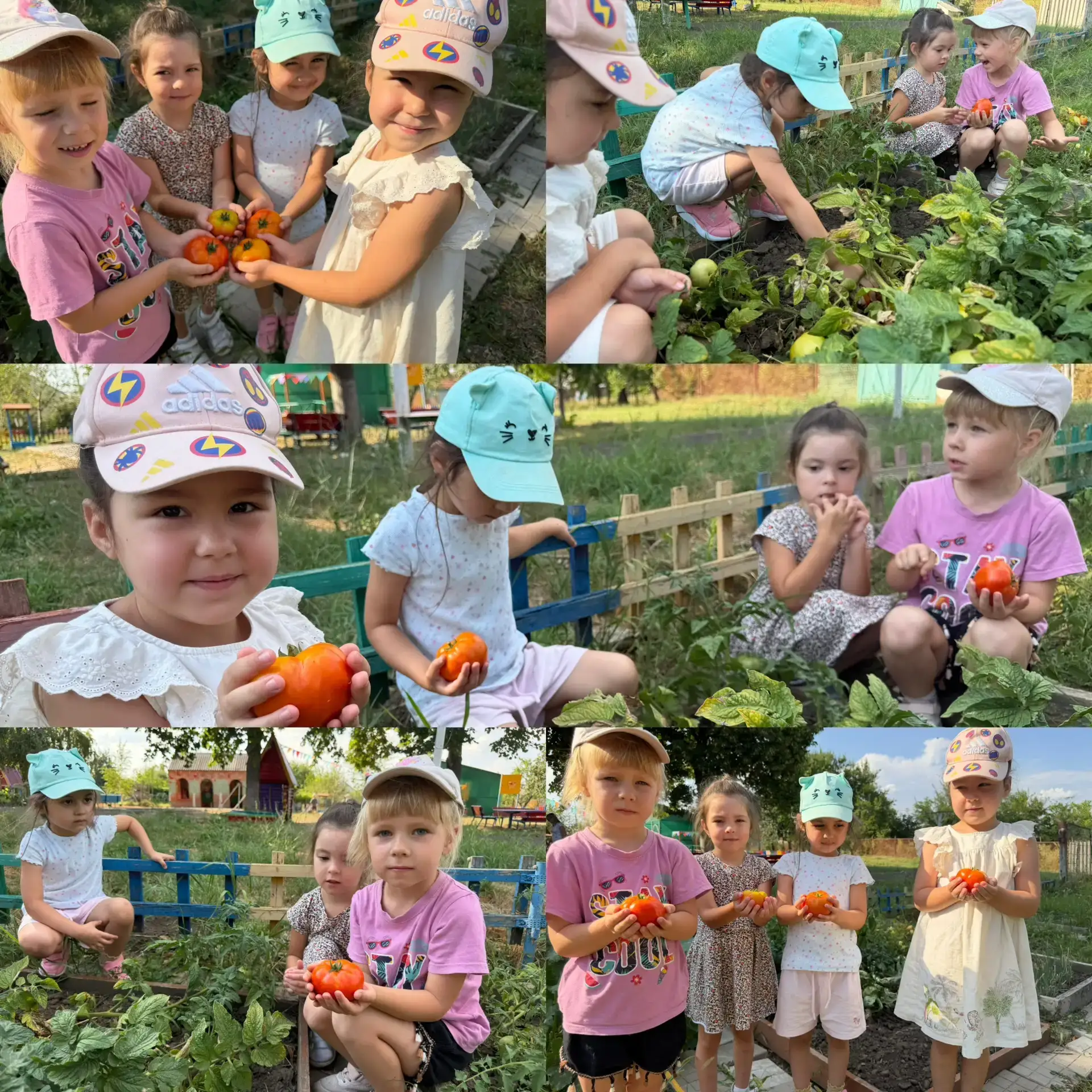🌱🌻 Наш маленький огород принес большой урожай!