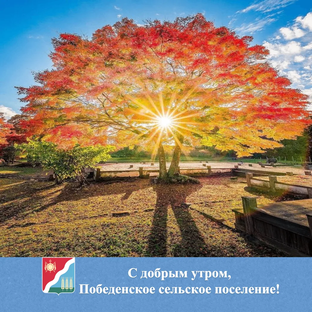 🌟 С добрым утром жители и гости Победенского сельского поселения!