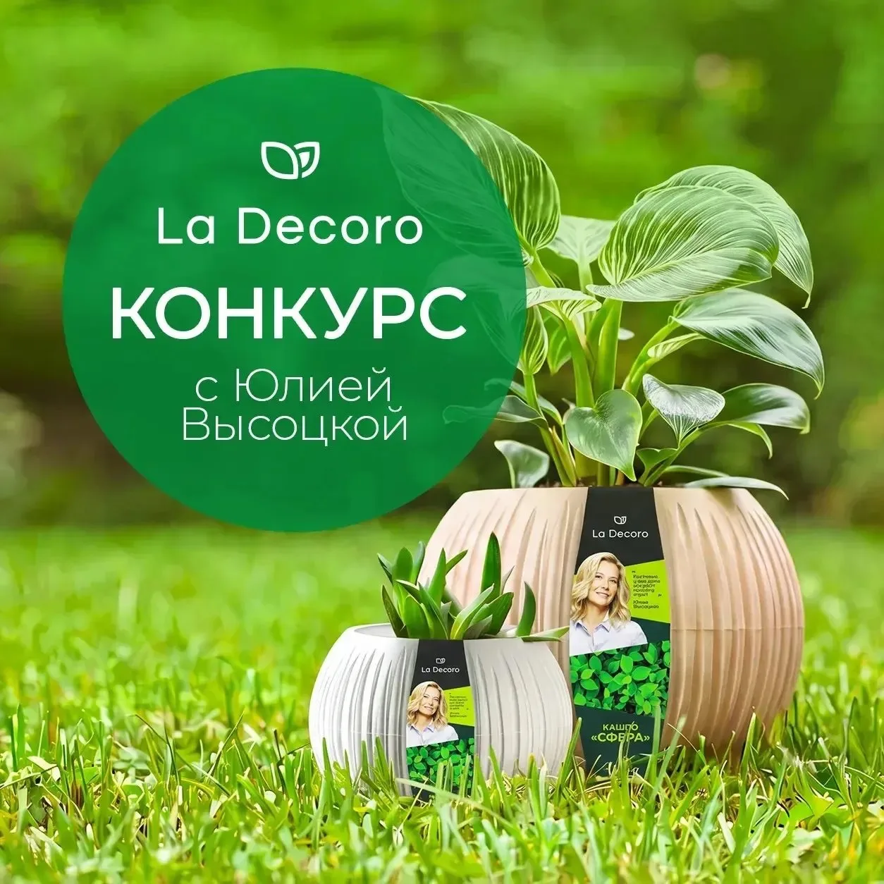 Какой уют в доме без растений?🌸🌿