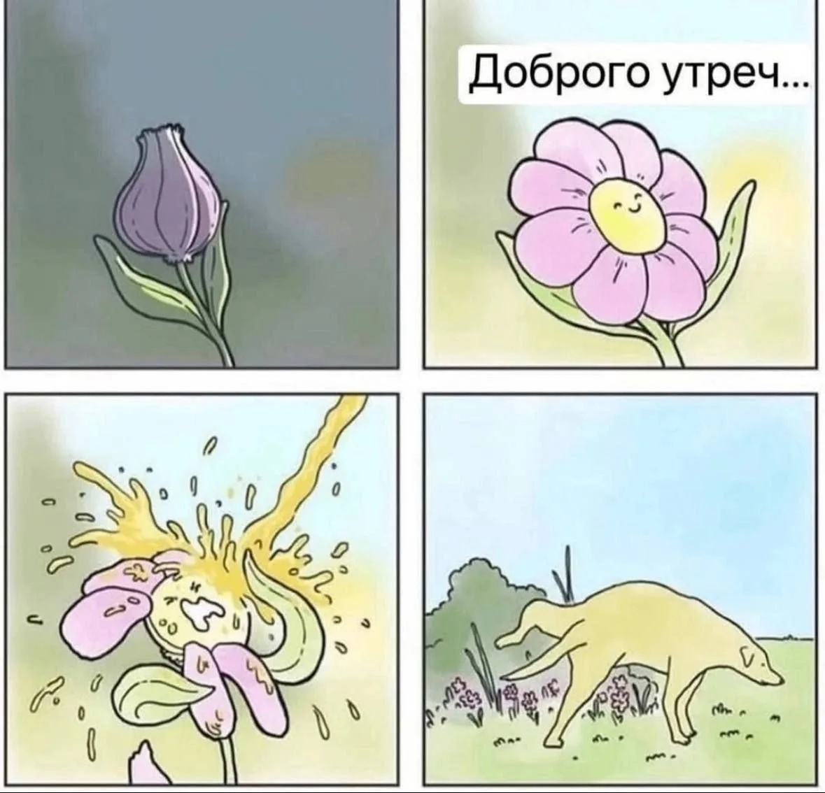 #Утро