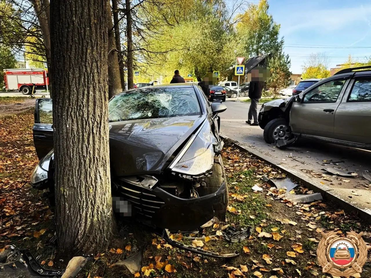 В Твери иномарка врезалась в дерево, а водитель сбежал