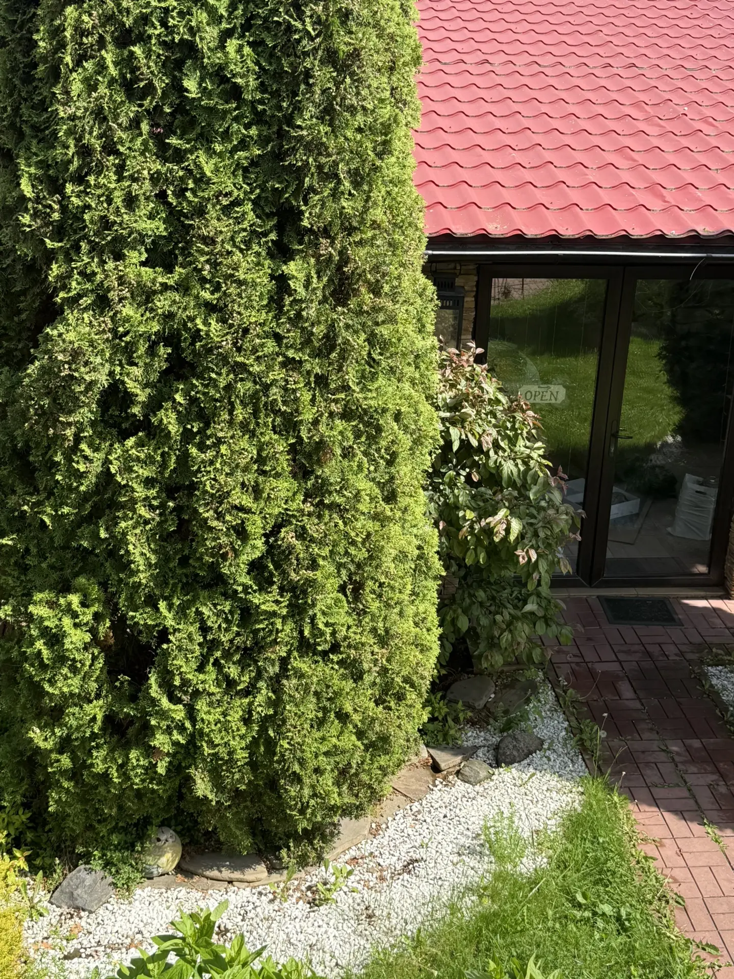 Какая дома красота 😍