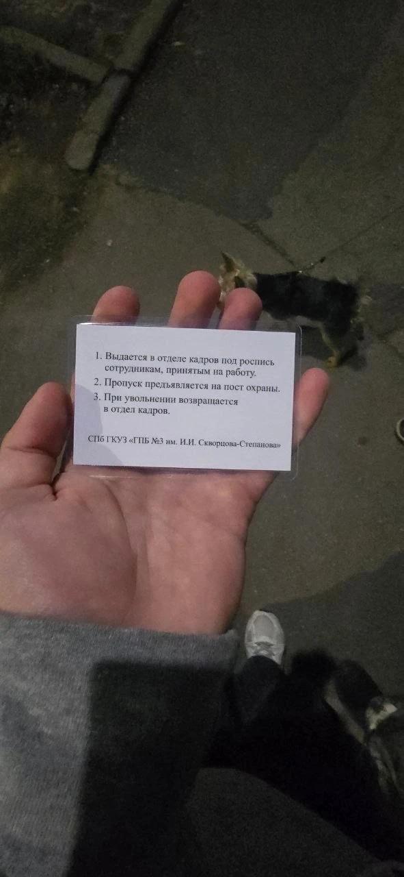 Была найдена на улице около детского сада на улице ленской 11 корпус 1