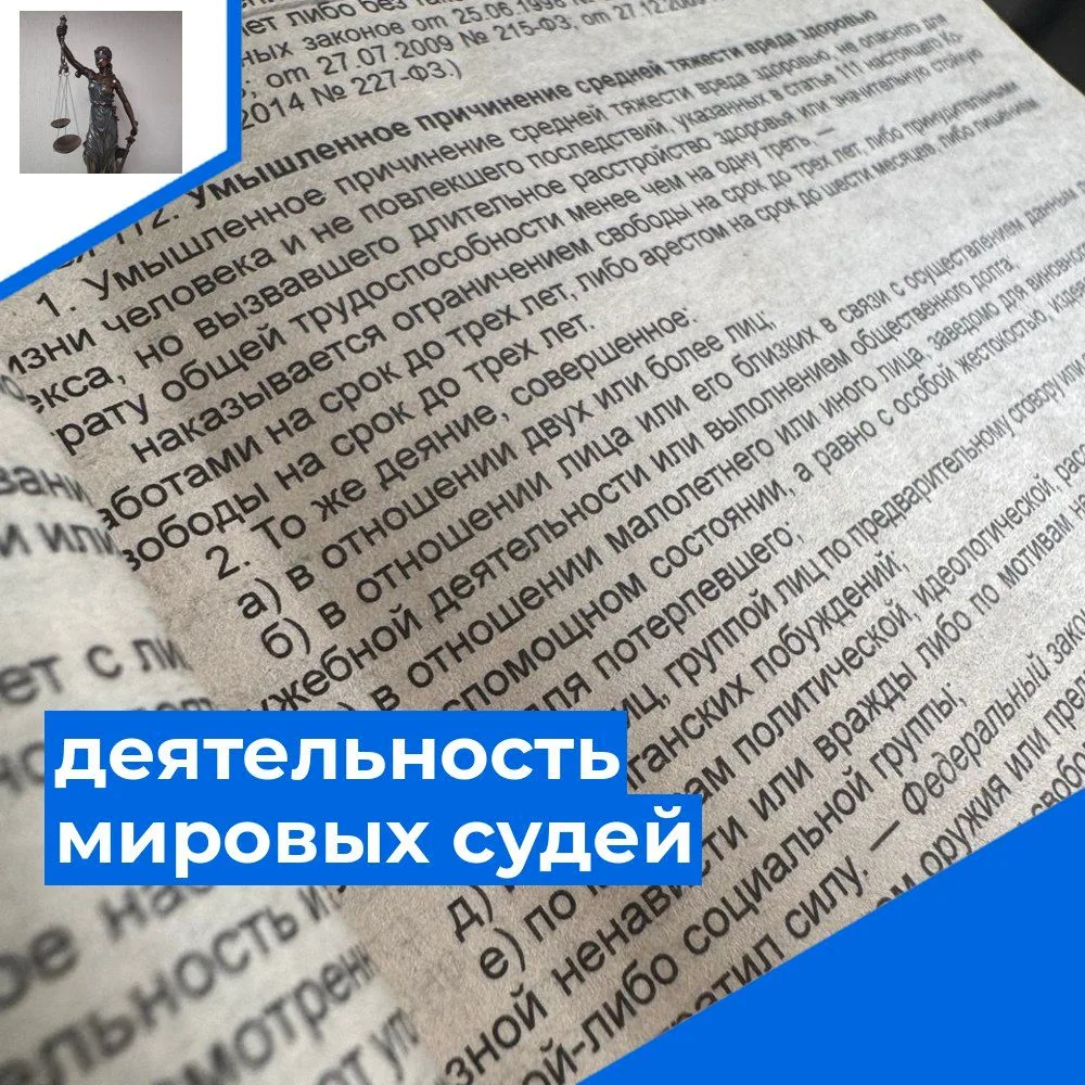 Детские санки привели барнаульца на скамью подсудимых