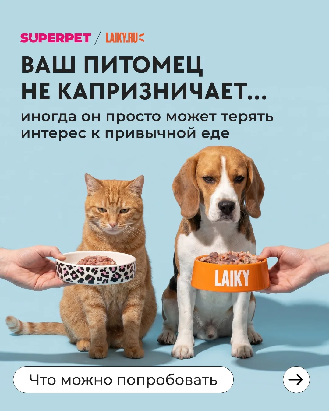 Ваш питомец капризничает, что делать?