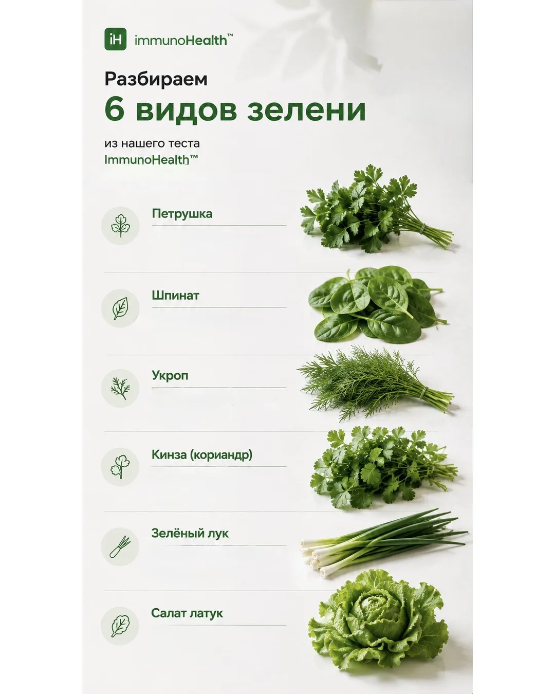 🌿 Сила в зелени: 6 секретных помощников для вашего здоровья