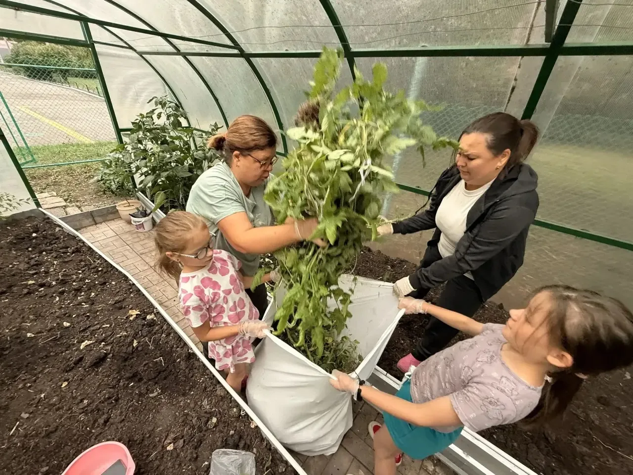 Главные уроки проекта «Чудеса тепличные»: итоги огородного сезона»