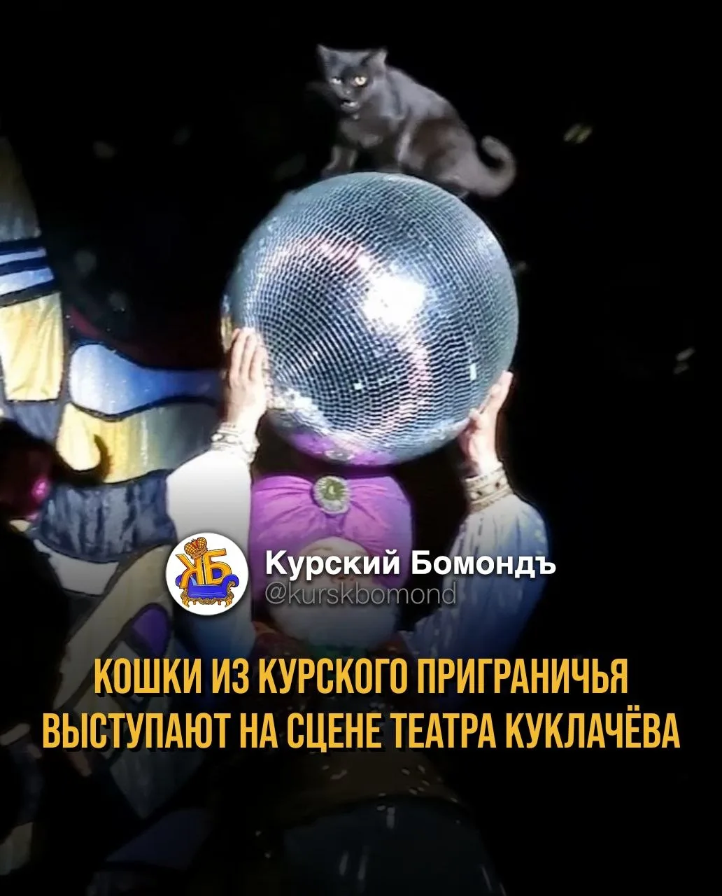 Кошки из курского приграничья выступают на сцене Театра Куклачёва 🐈‍⬛