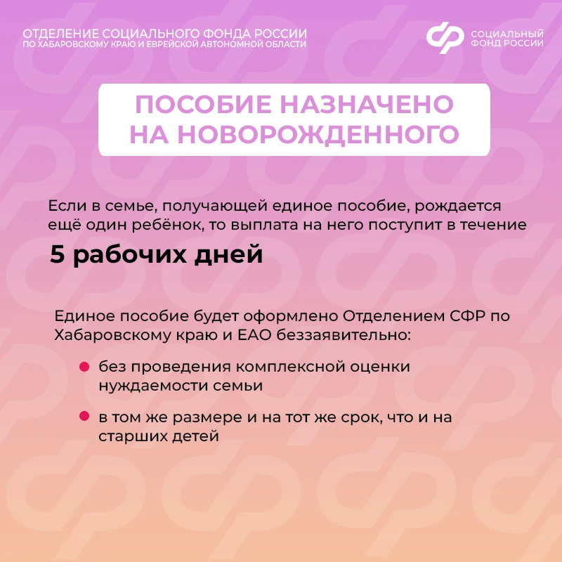 🤱 Когда поступит первая выплата единого пособия? В зависимости от жизненной ситуации сроки могут быт