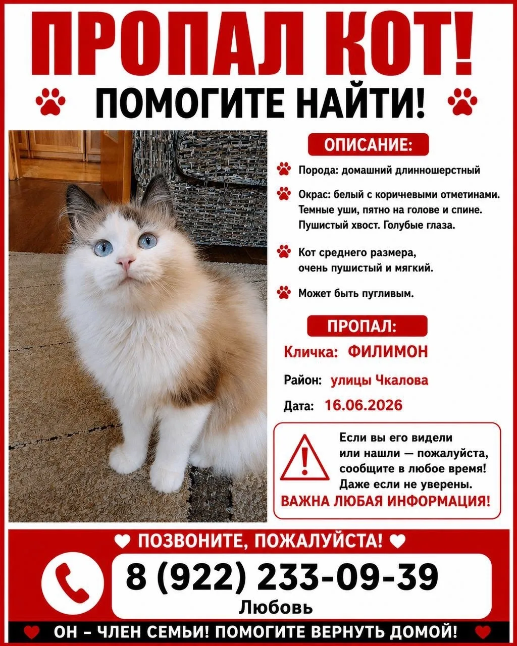 Помогите пожалуйста найти нашего кота!!!🙏🙏🙏🙏😭
Сбежал 16.06.2026, ул.Чкалова, машзавод
Очень все