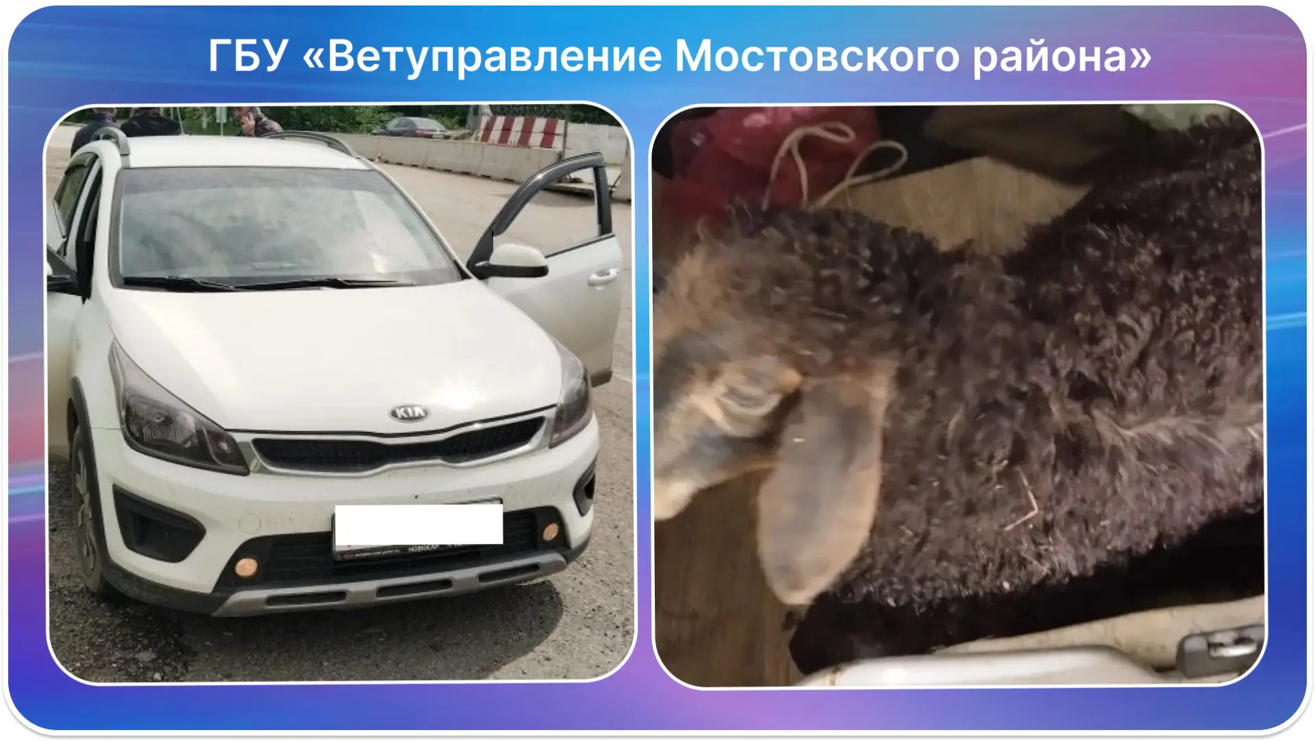 В Мостовском районе пресечена перевозка (МРС) с нарушениями