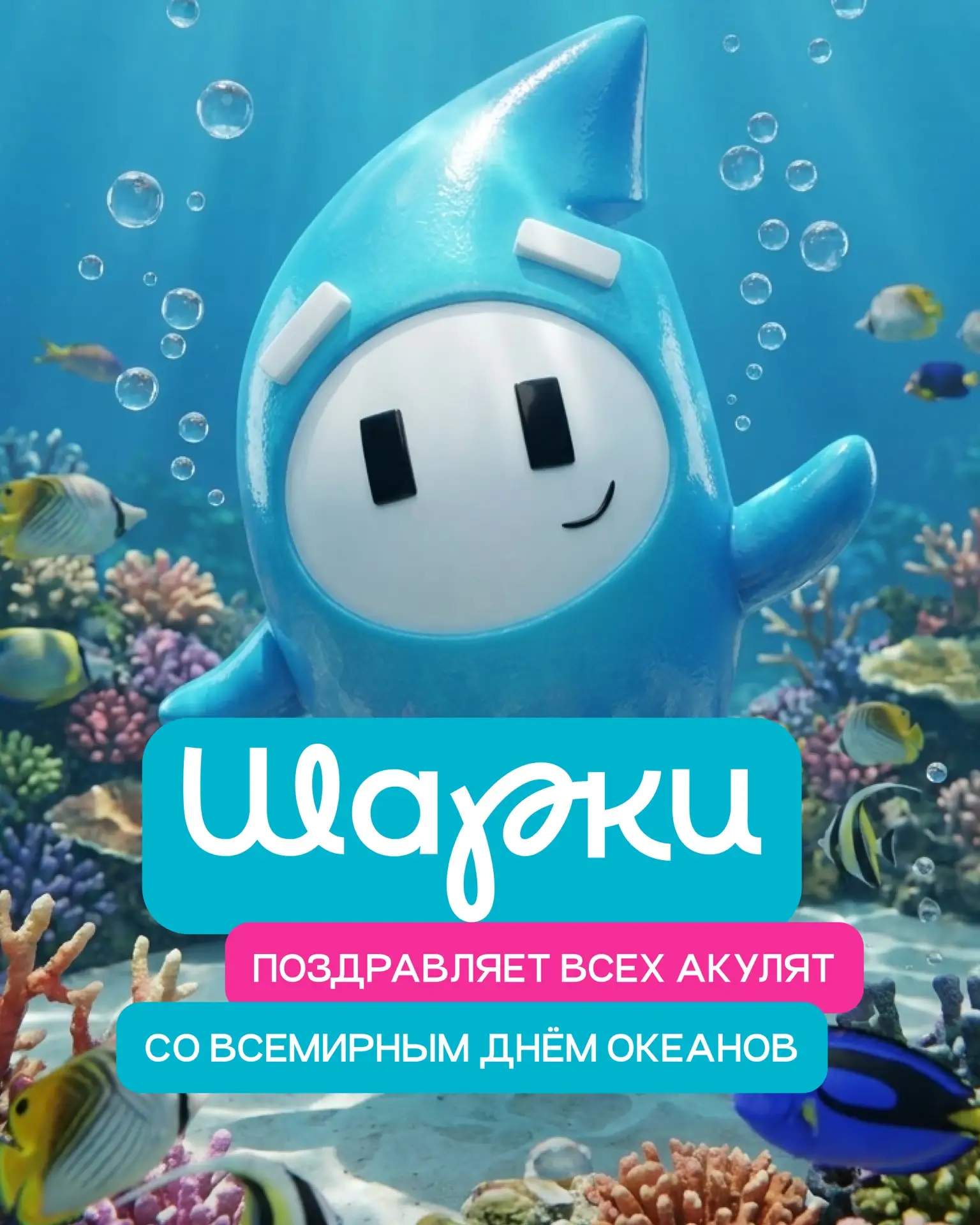 Этот день Шарки ждал сильнее, чем свой день рождения 👀 

Сегодня, 8 июня, мы всей командой ACOOLA п