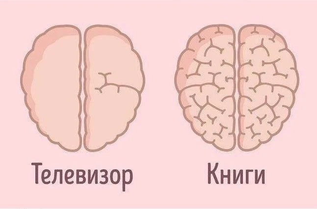 Современные исследования выявили главные причины пользы чтения: