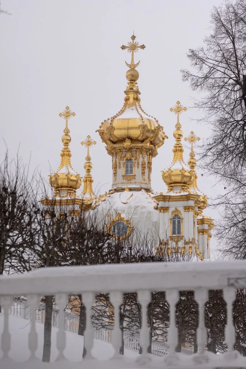 Зима в Нижнем парке ❄️  #петергоф_подборка