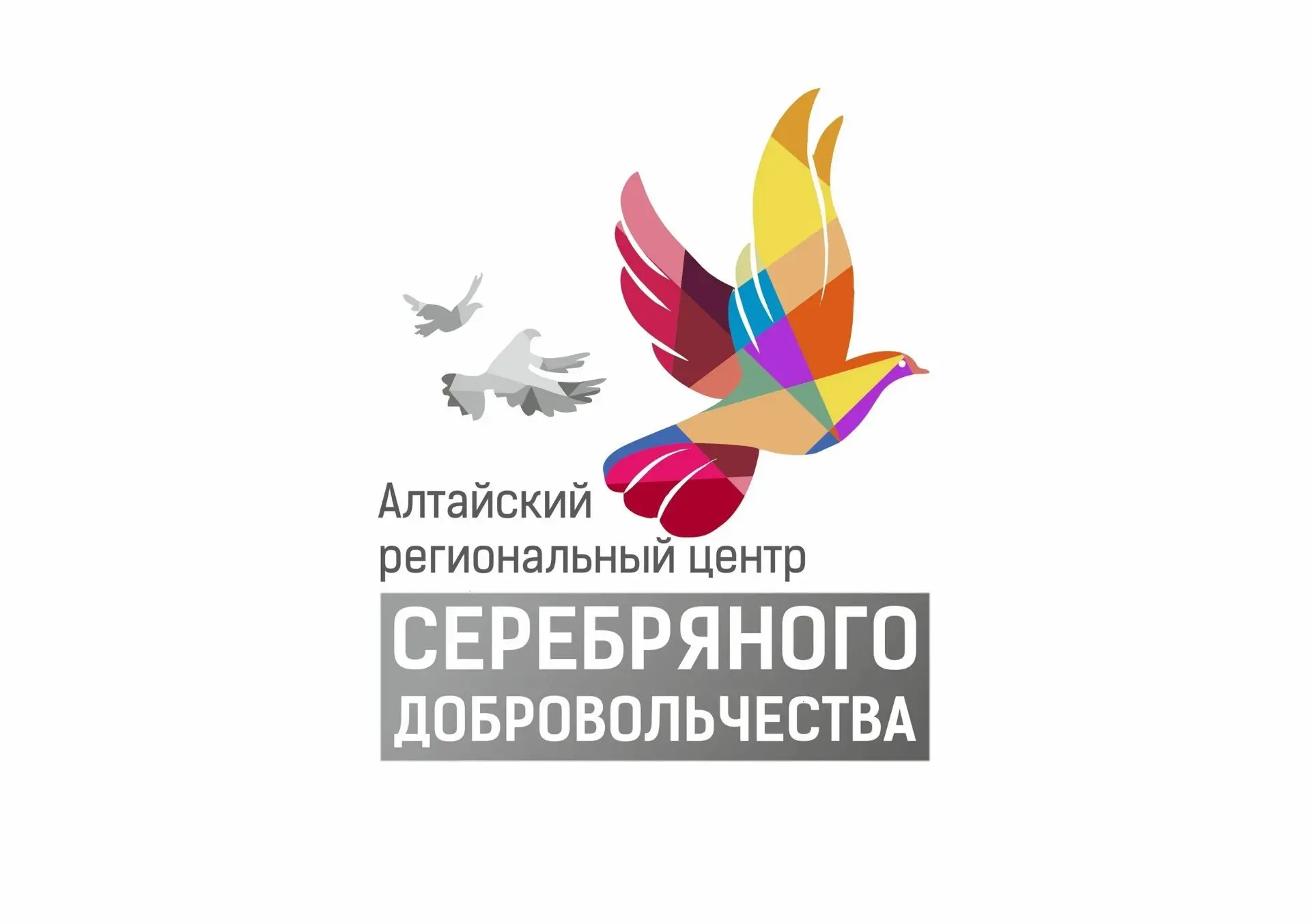 В целях реализации государственных задач по поддержке активного долголетия и в рамках ф...