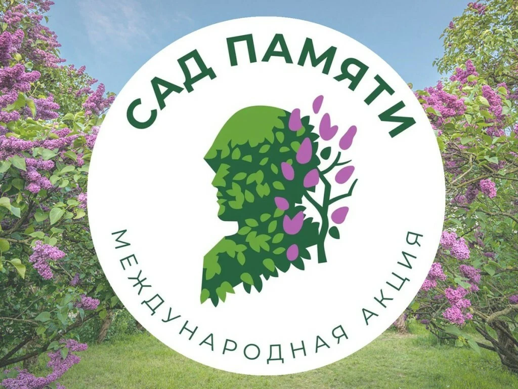 🌲ИТОГИ «Сад памяти» в ЕАО: корни, которые держат небо