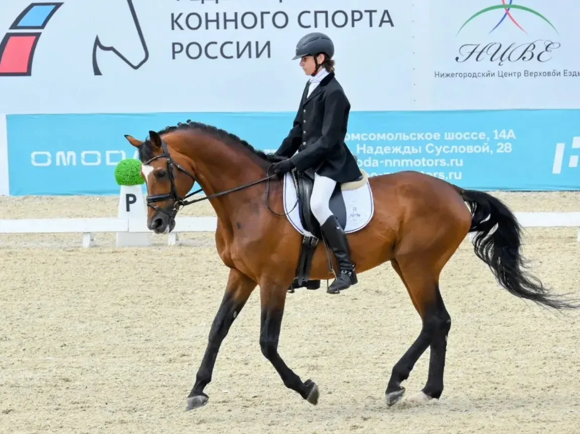 ВЫЕЗДКА🐎🐎🐎

 В минувшие выходные на базе «КСК Пассаж» в Нижнем Новгороде состоялись соревнования 