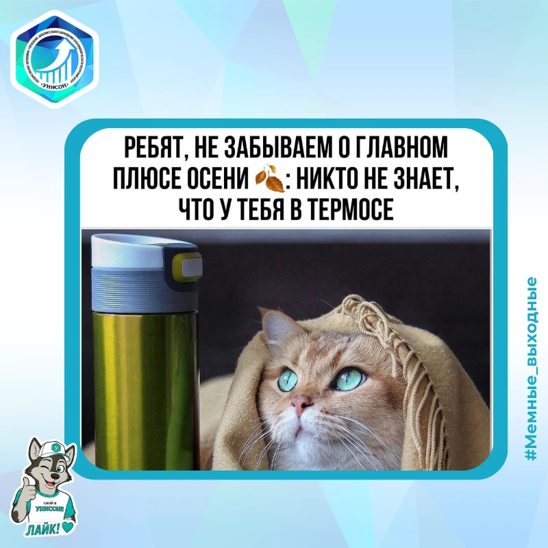 🌚 Делитесь вашими любимыми мемами, смешными картинками и видео в комментариях!